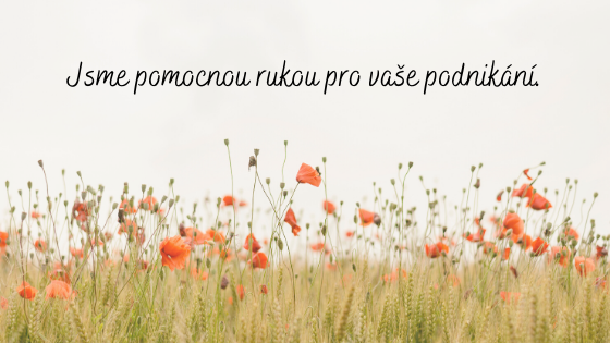 Jsme pomocnou rukou pro vaše podnikání.